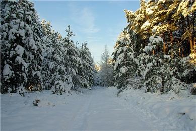 《最终幻想7：重生》获得TGA 2024最佳音乐和配乐奖